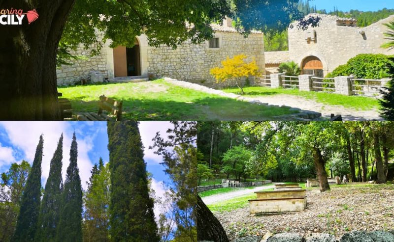 Trekking al bosco di Canalazzo