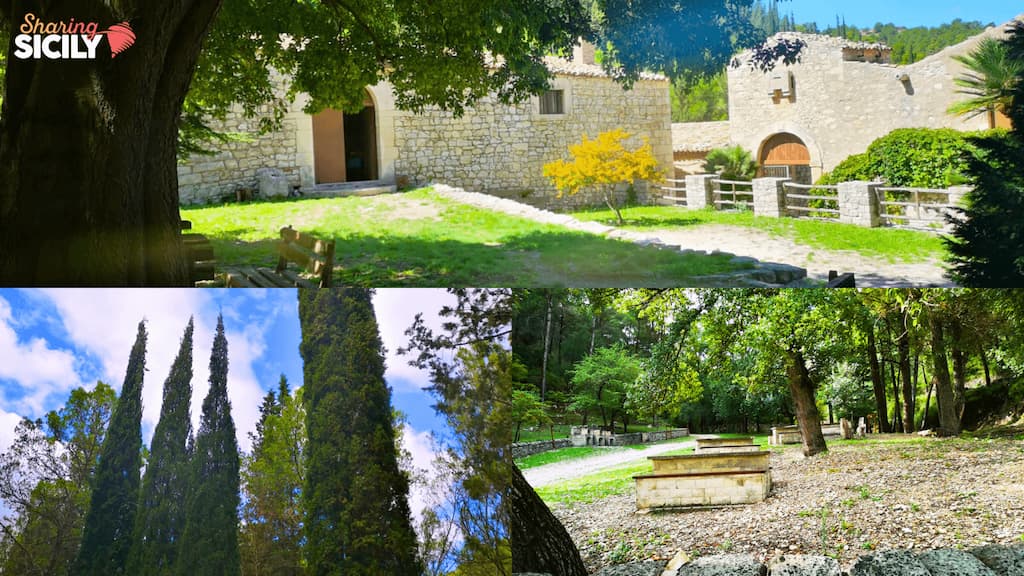 Trekking al bosco di Canalazzo