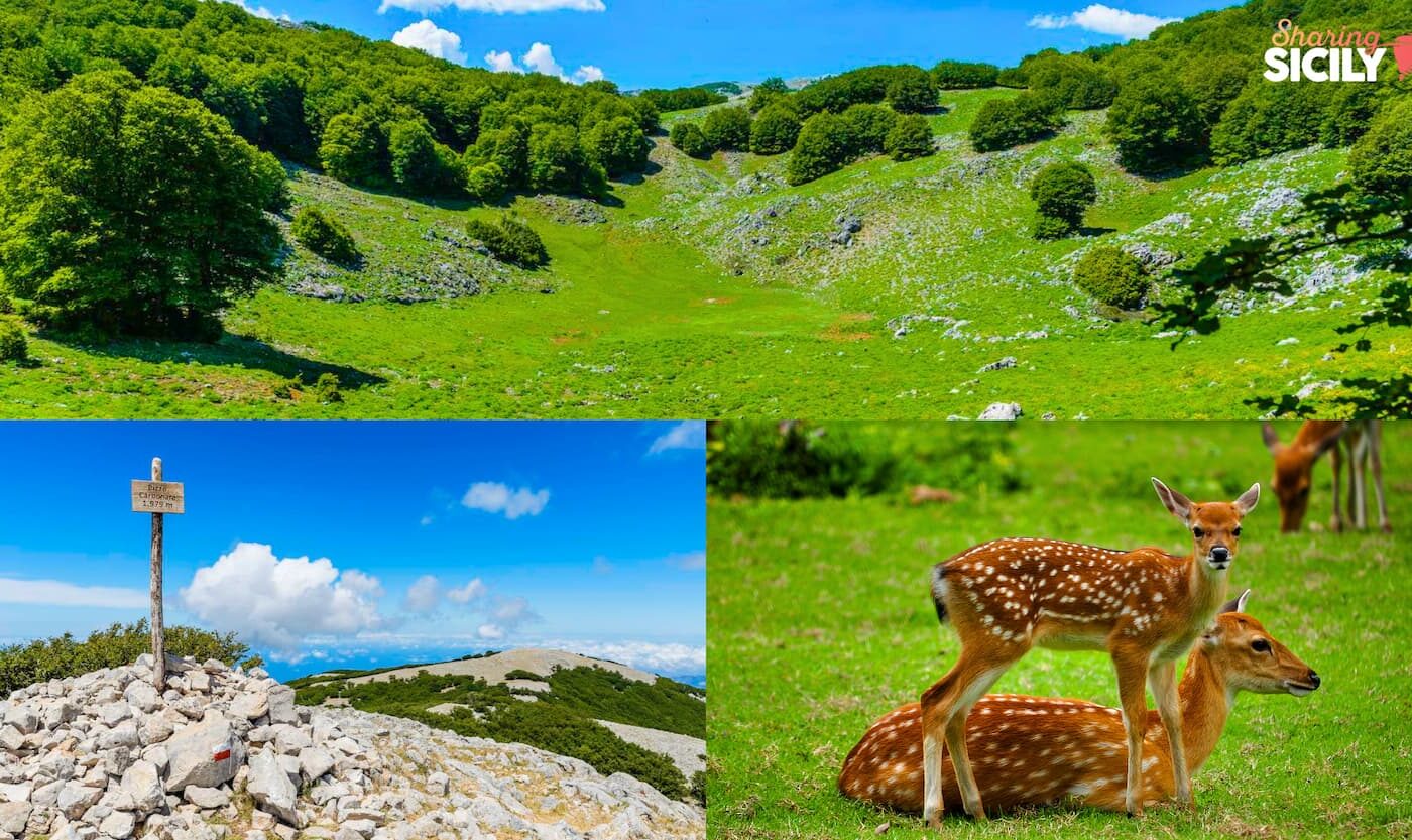 Oltre le nuvole: Anello di Pizzo Carbonara nel Parco delle Madonie