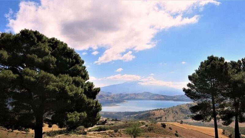 Alla scoperta del lago Pozzillo tra natura e birdwatching