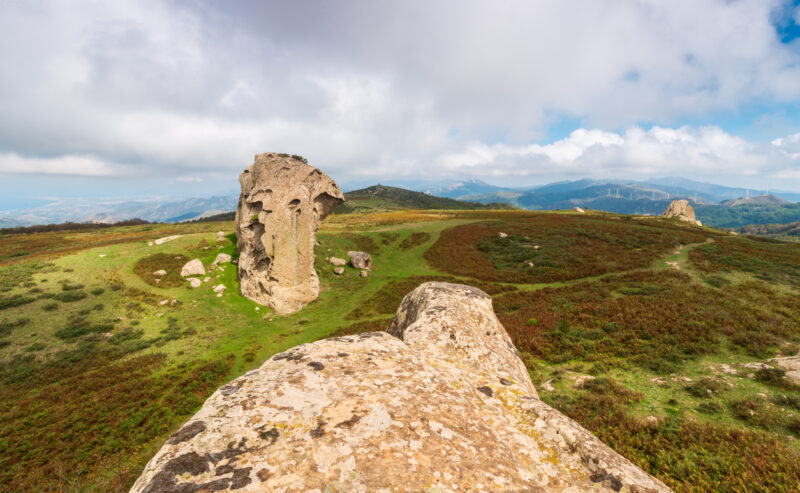 Il bosco di Malabotta e le rocce misteriose dell’Argimusco