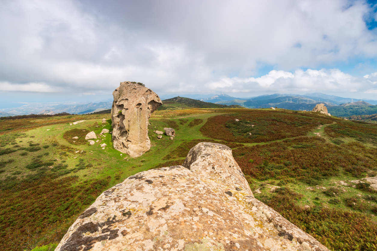 Il bosco di Malabotta e le rocce misteriose dell’Argimusco